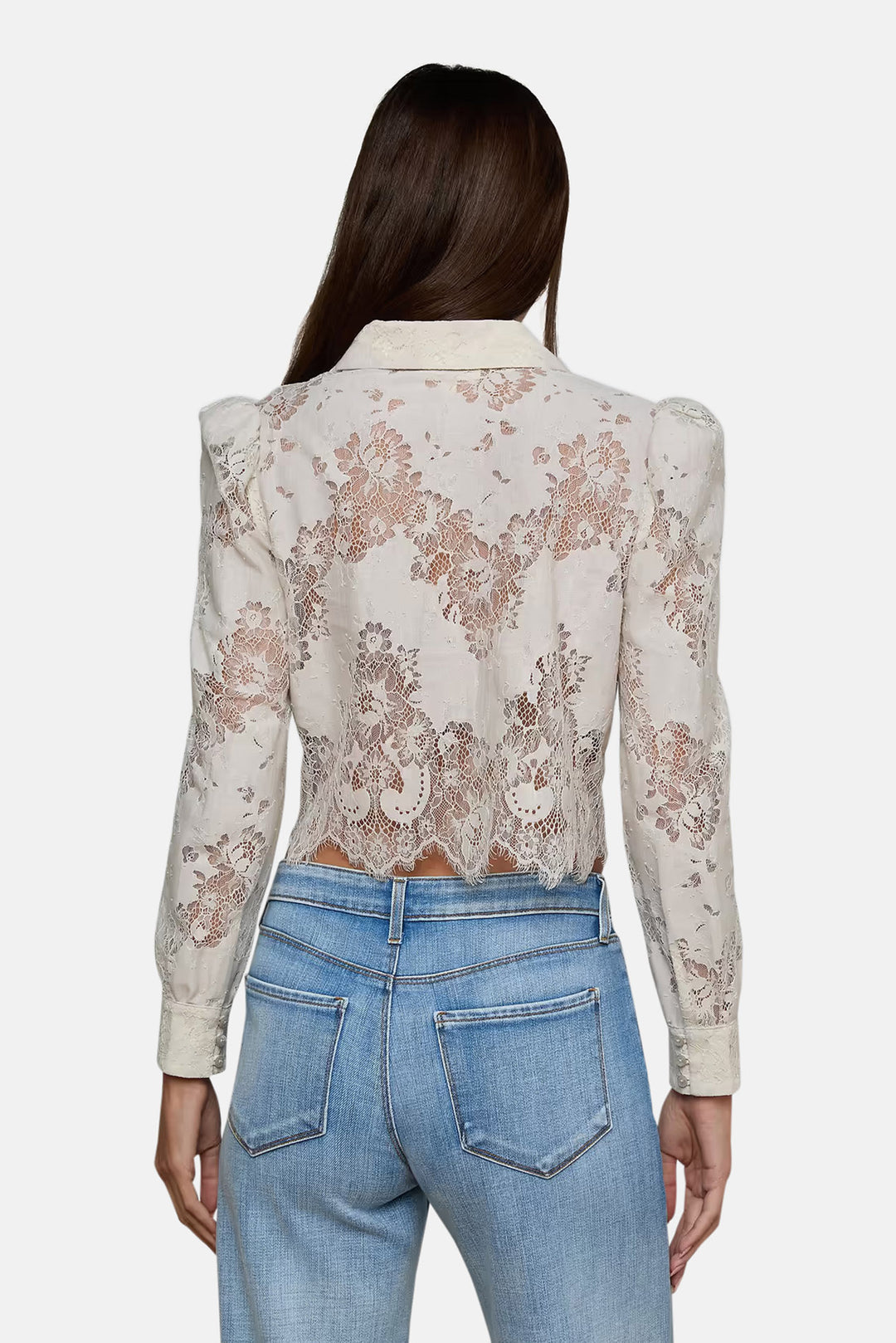 Anita Lace Blouse Champagne