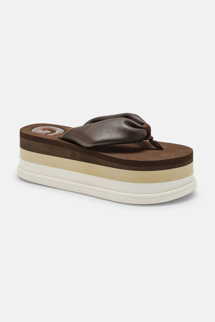 CG Platform Luwak Multi
