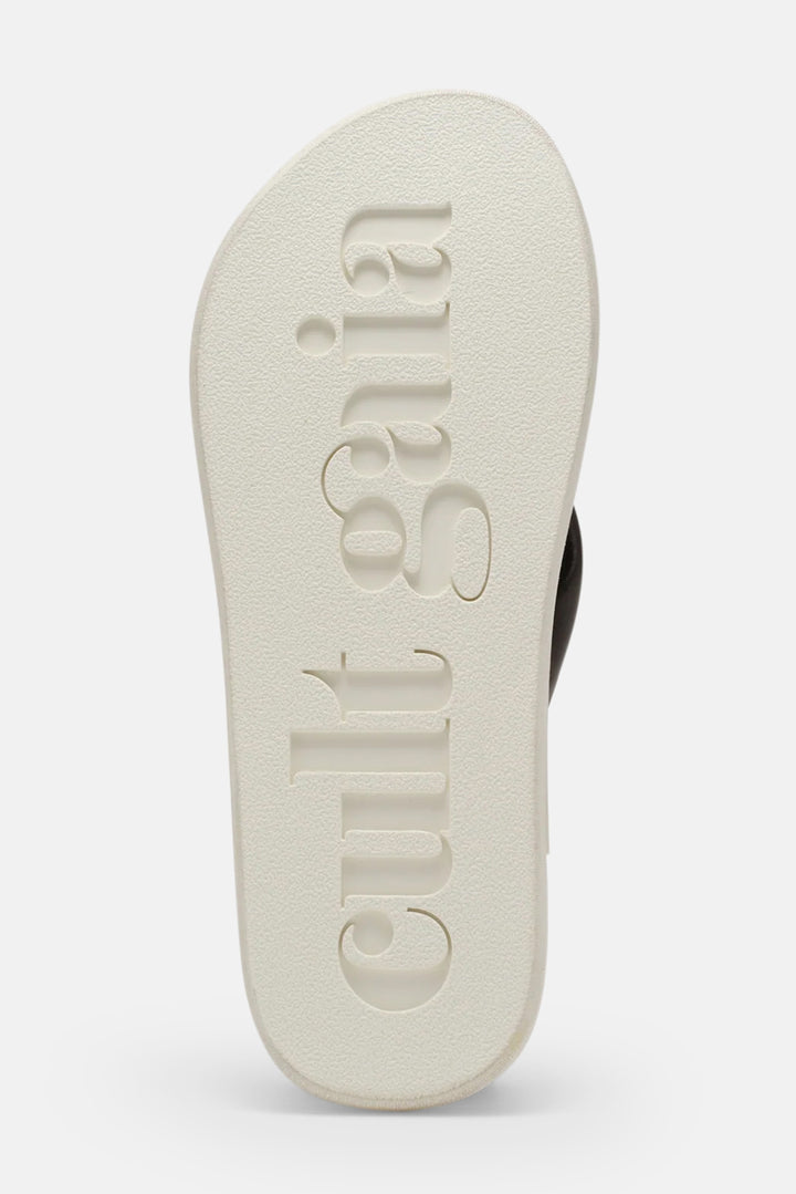 CG Platform Luwak Multi