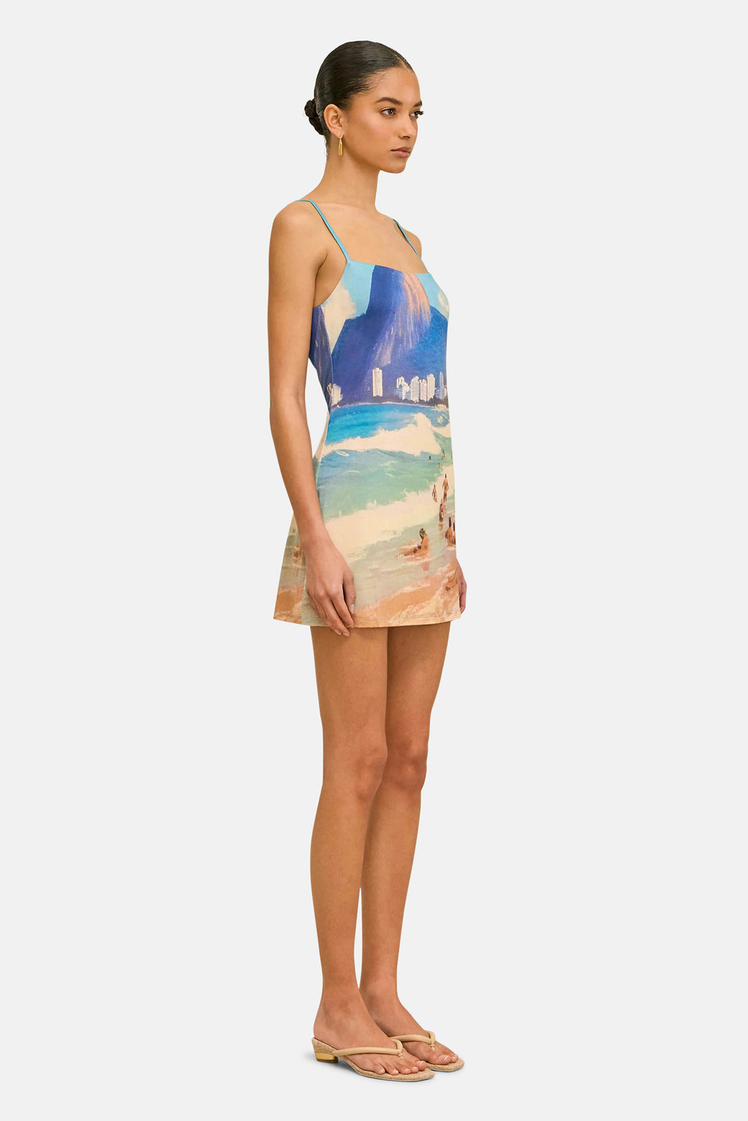 Cardela Dress Rio Beach Print