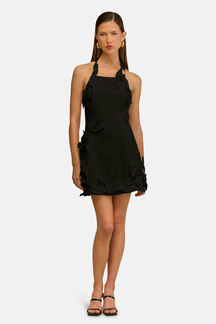 Elliana Dress Black