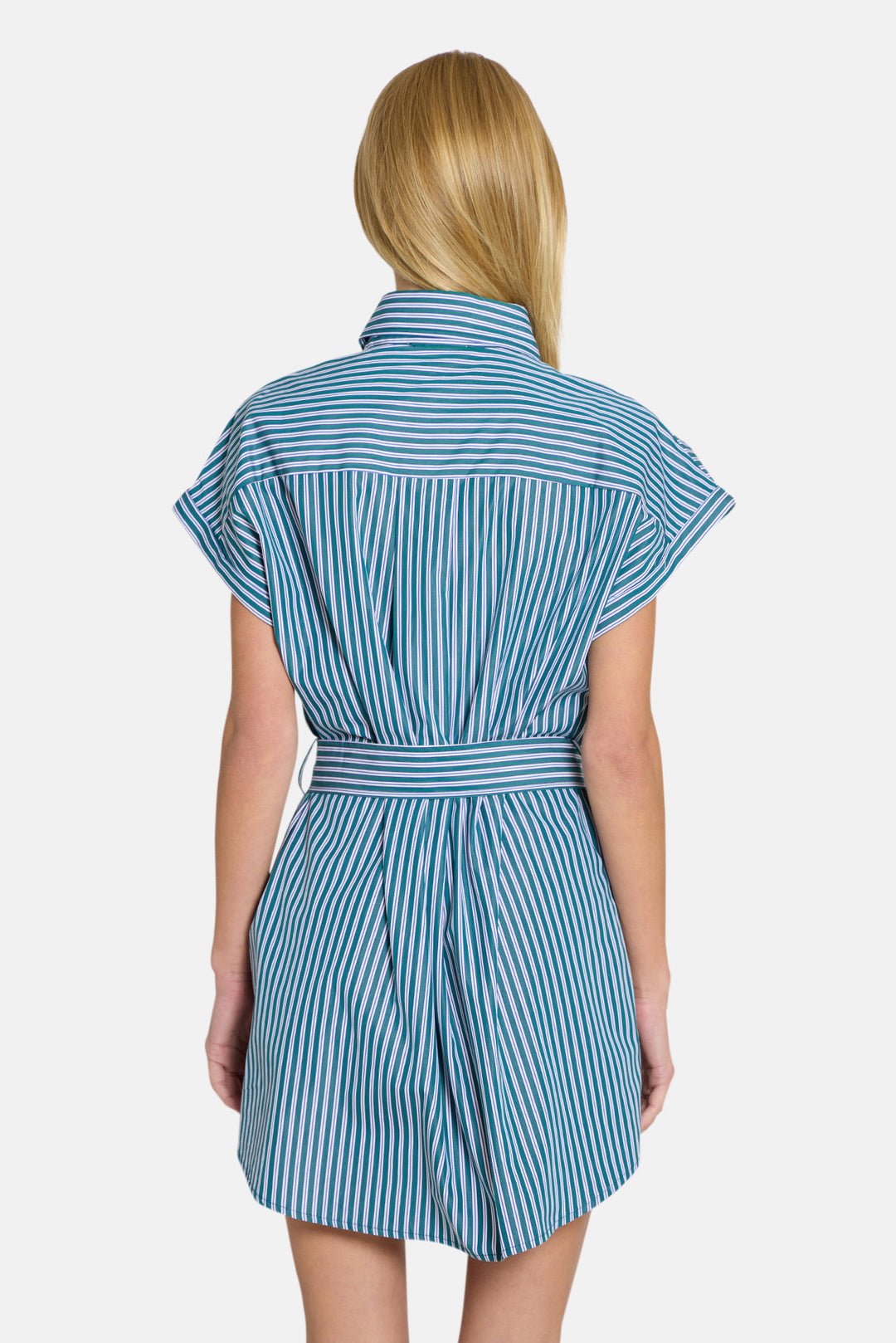Maidstone Mini Shirt Dress Green/Blue Stripe