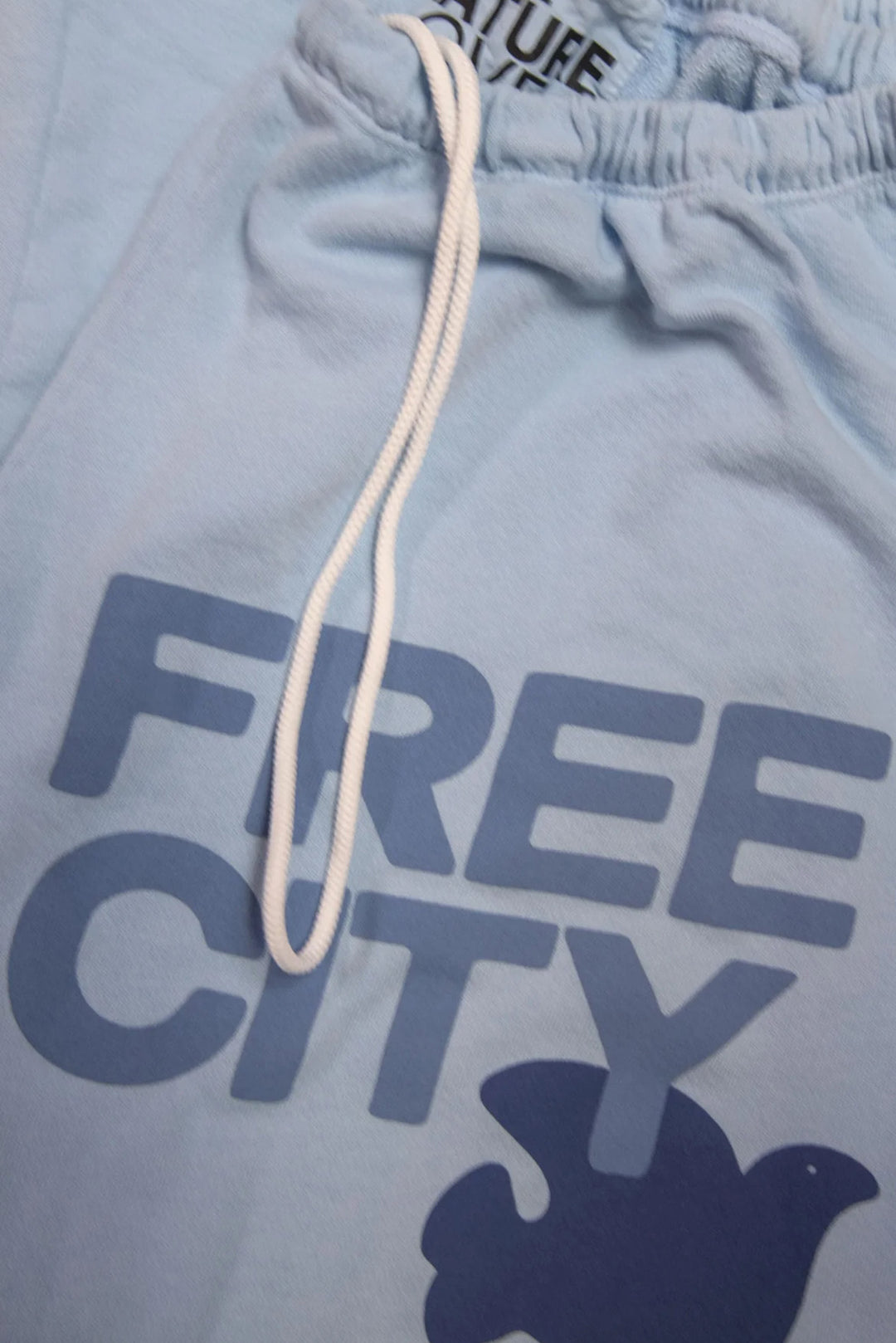 FREECITY LARGE Sweatpant - Blue Ice