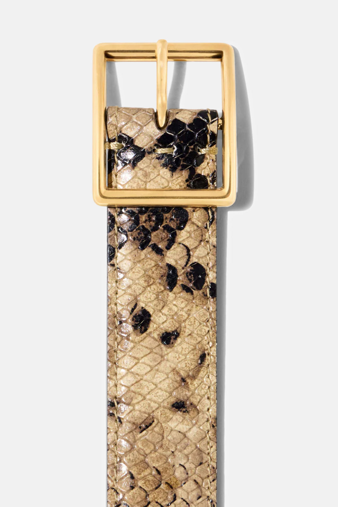 Gabriele Leather Belt Taupe Snakeskin w/ Gold Buckle