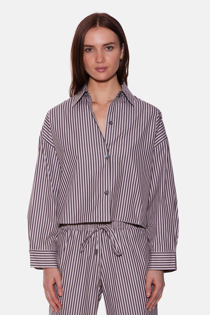 Gansett Poplin Crop Shirt Brown/Beige Stripe