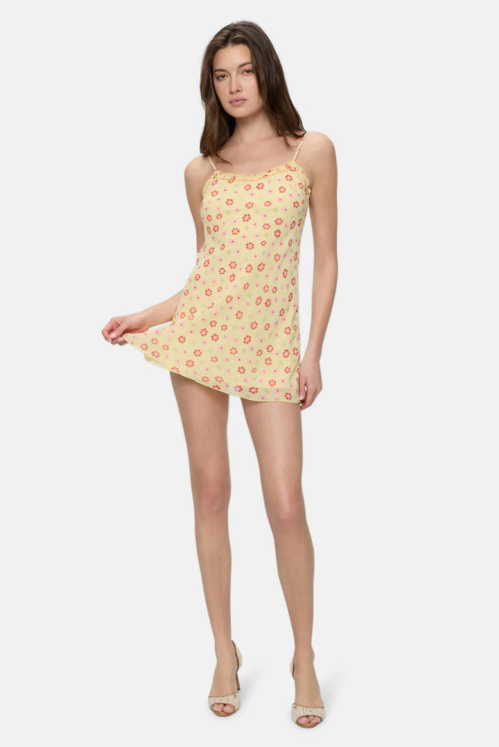 Josie Floral Mini Dress Sparklers
