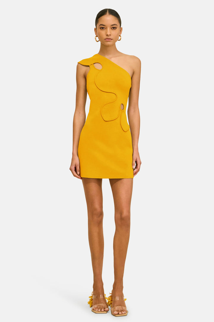 Labella Dress Marigold