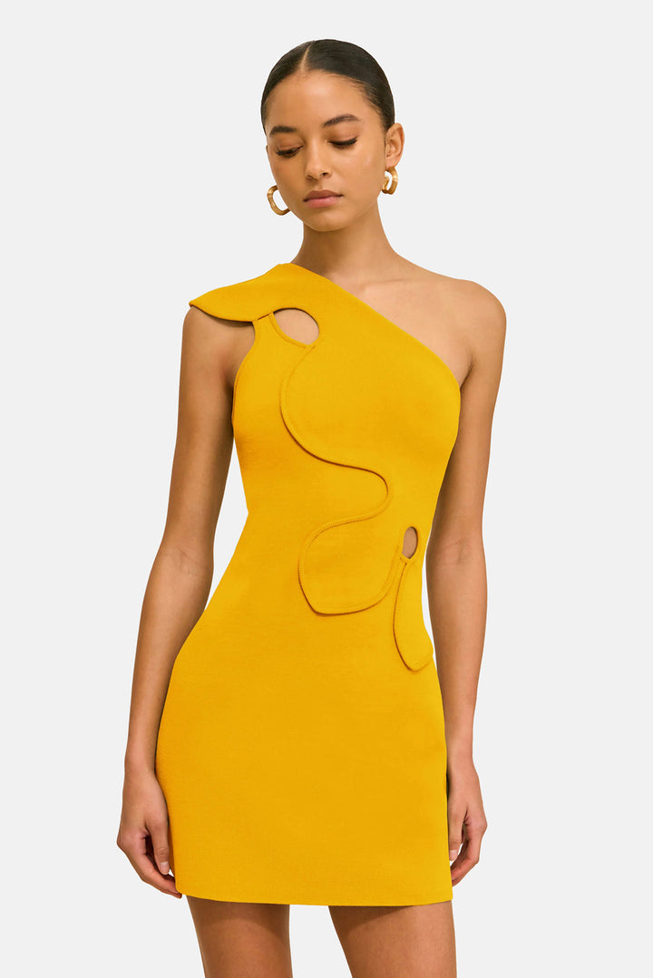 Labella Dress Marigold