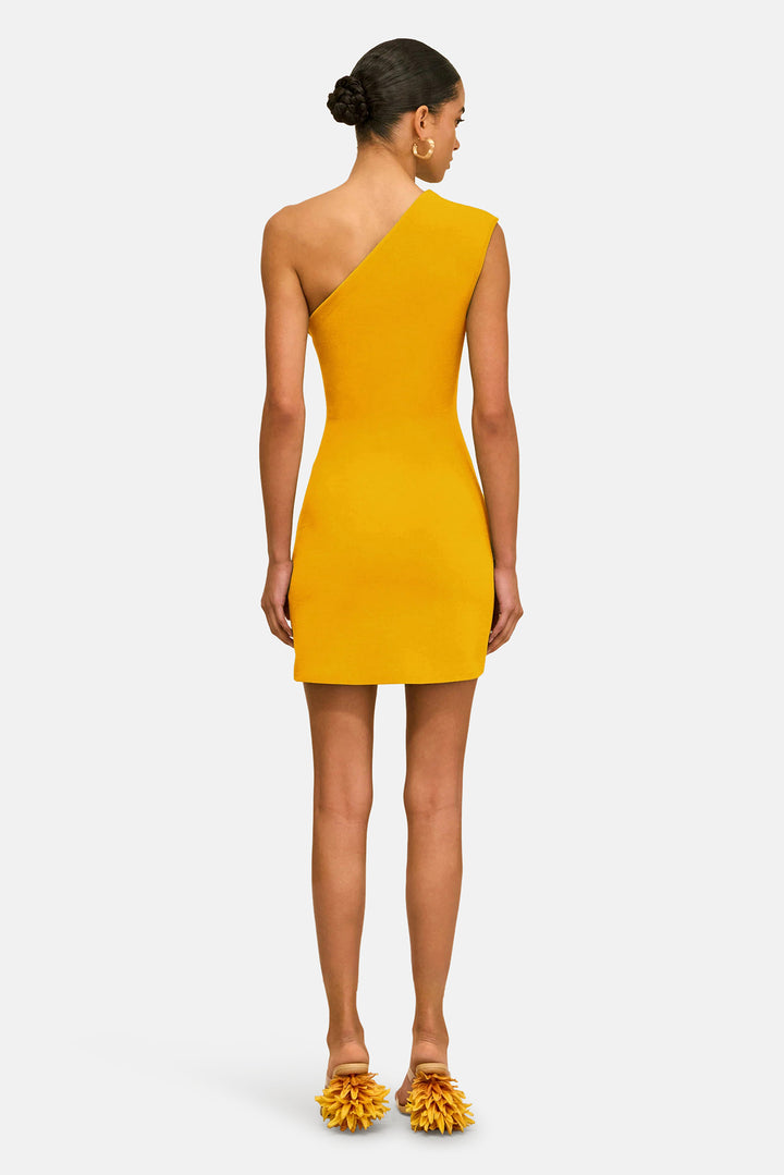 Labella Dress Marigold