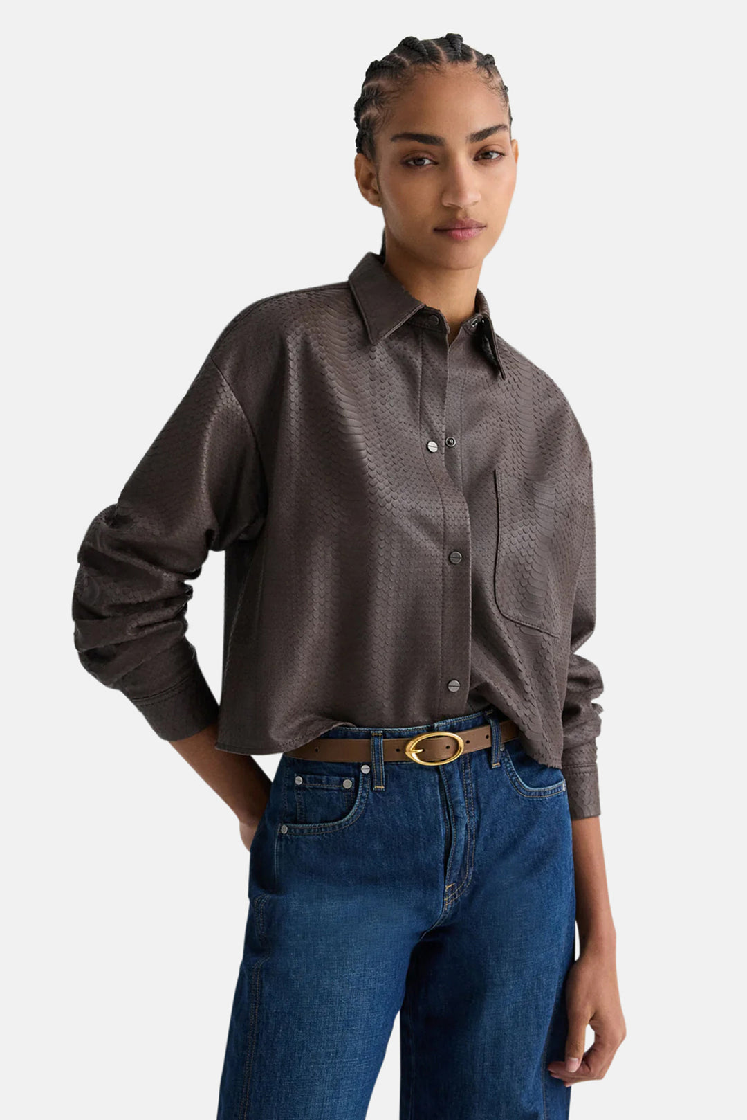 Little Big Joe in Dark Chocolate Python