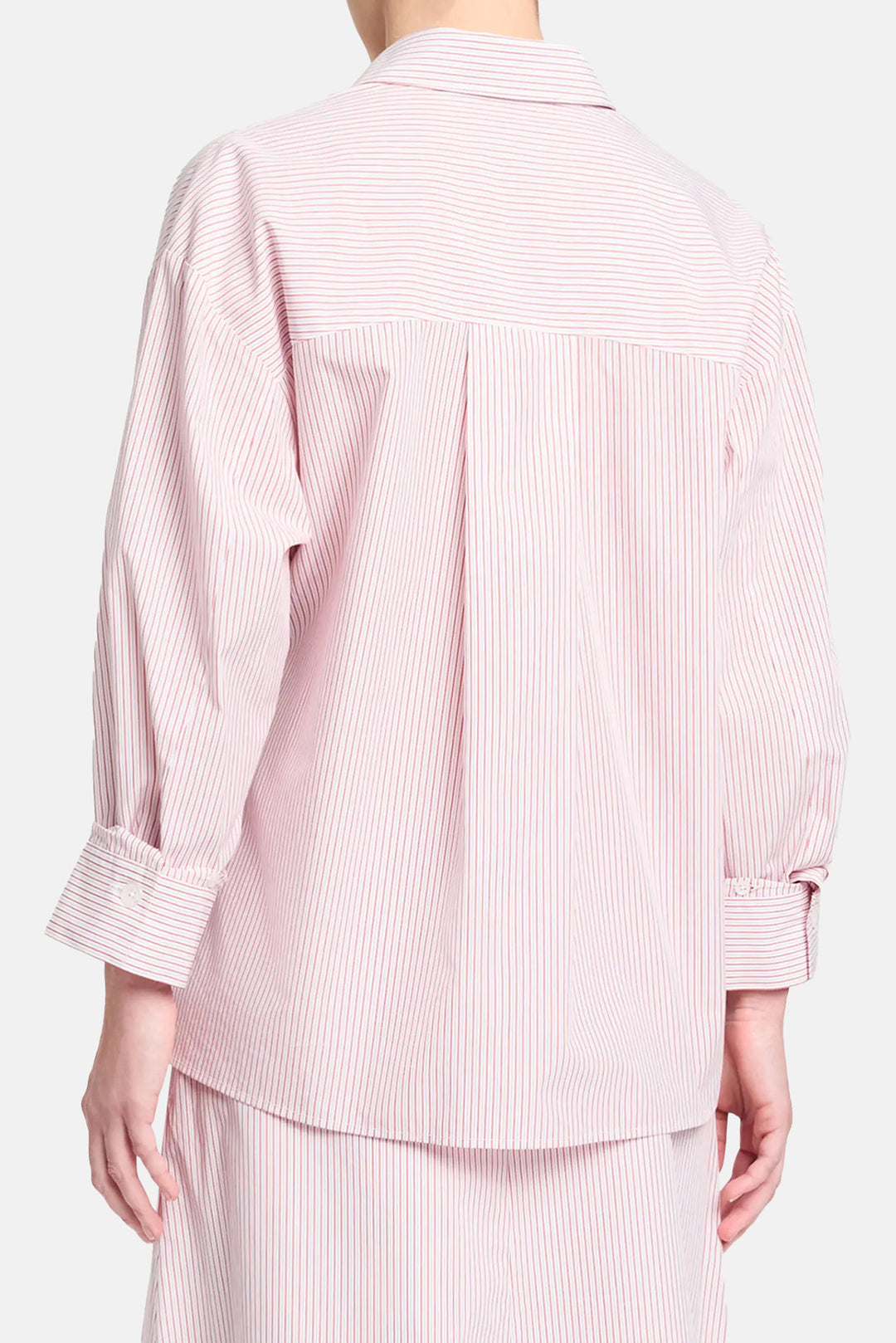 Newest Earl Shirt in Cotton Stripes White / Red