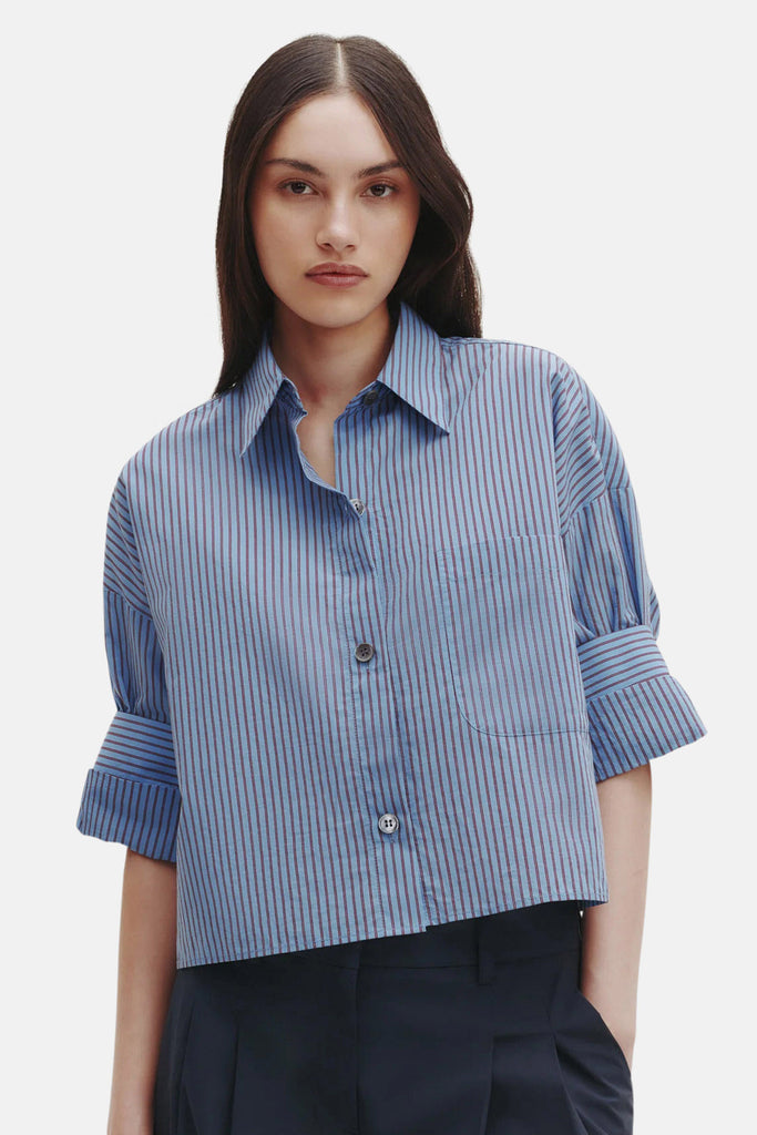 NextExShirtStripeBlue_Wine_102