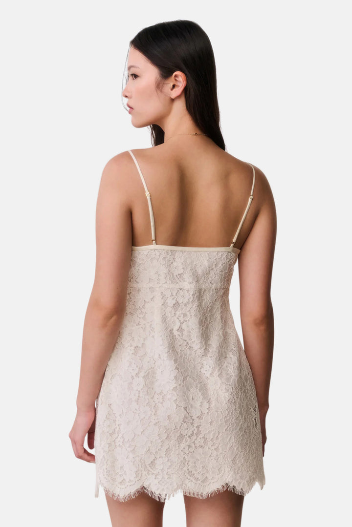 Petaline Lace Mini Dress Ivory