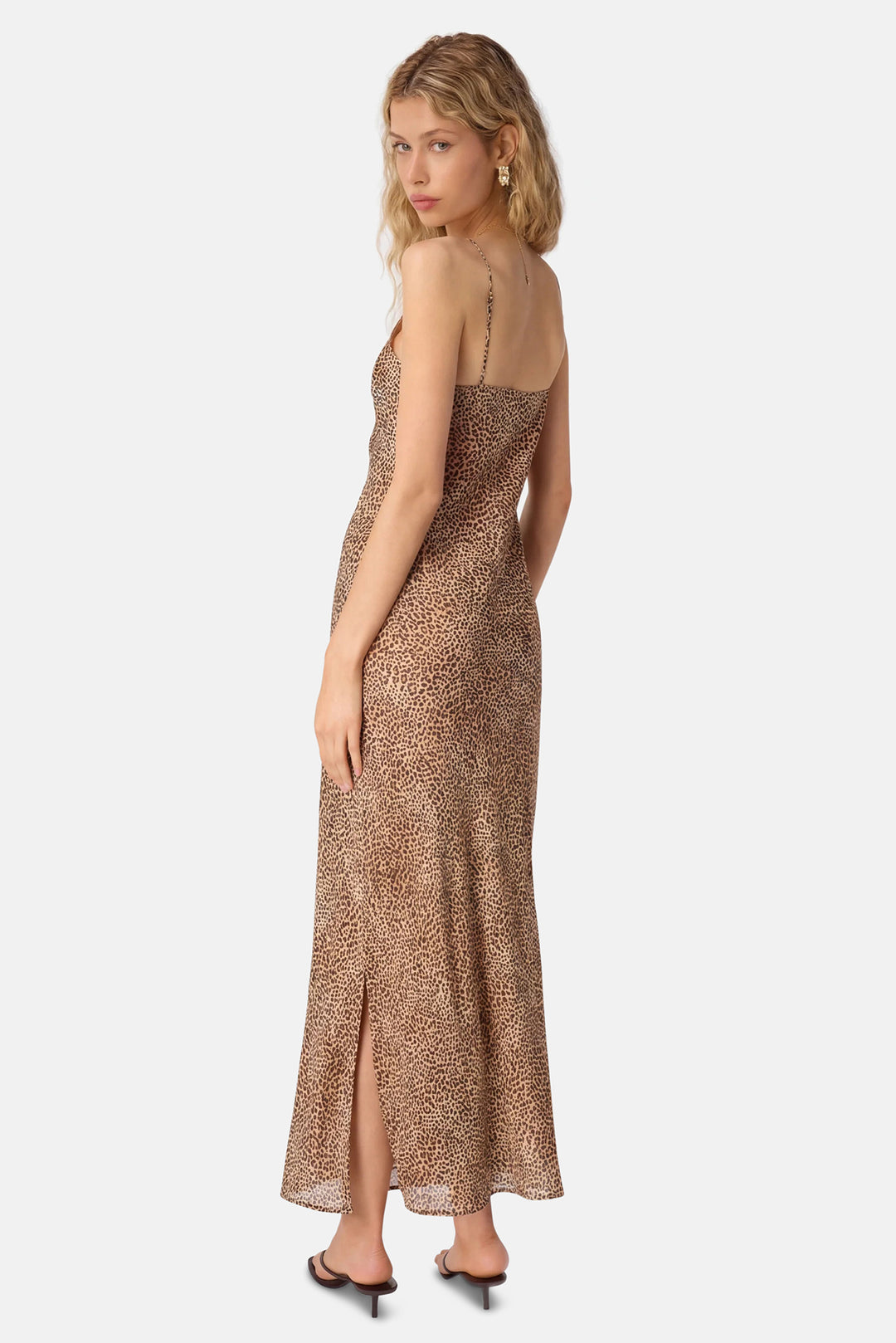 Raven Chiffon Maxi Dress Leo