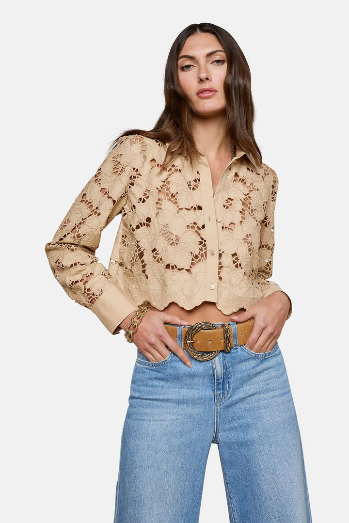 Seychelle Lace Cropped Blouse Almond