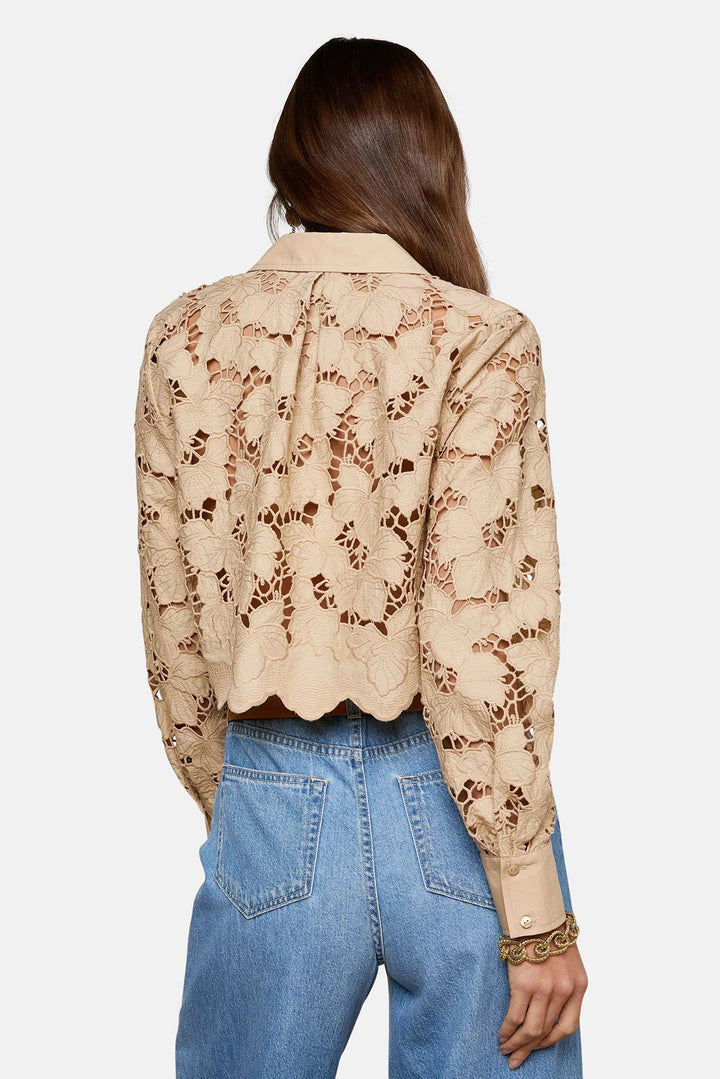 Seychelle Lace Cropped Blouse Almond