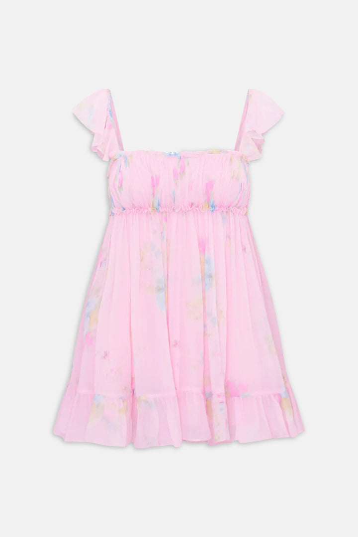 Zanira Floral Chiffon Mini Dress Rosy Trellis