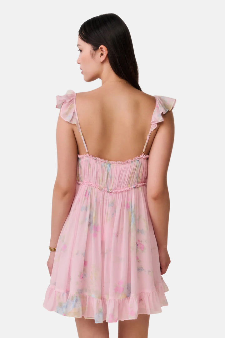 Zanira Floral Chiffon Mini Dress Rosy Trellis