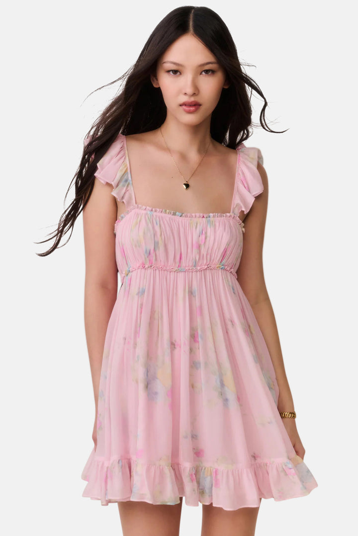 Zanira Floral Chiffon Mini Dress Rosy Trellis