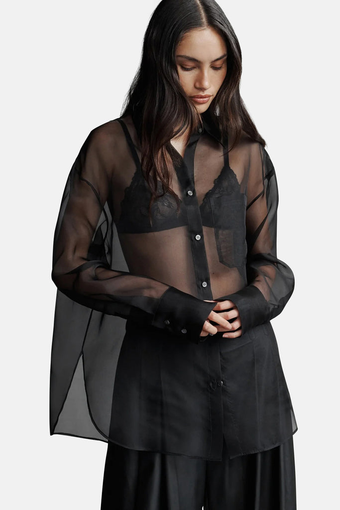 シャツ/ブラウス(長袖/七分) willfully embroidery chiffon sheer BL willfully embroidery chiffon sheer BL
